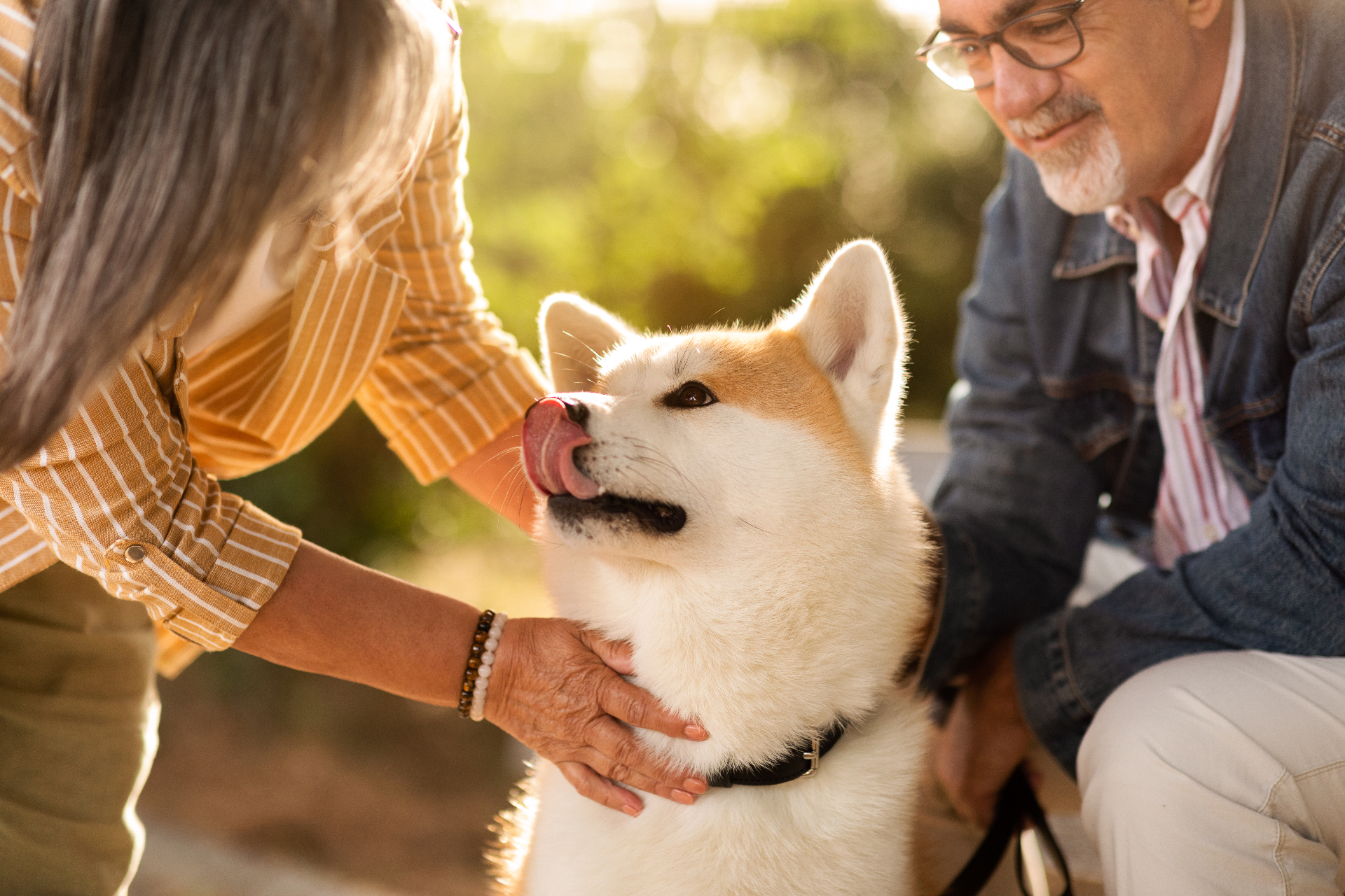 A happy couple enjoying a moment with their adopted dog outdoors