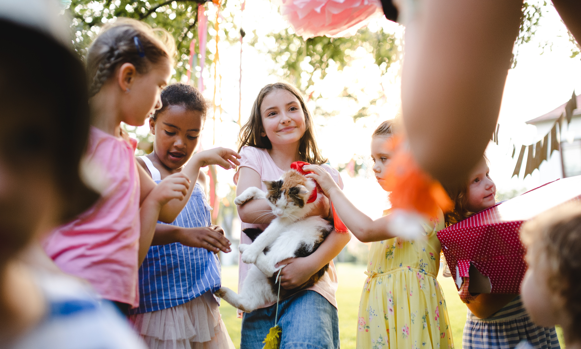 Children gathered in a sunny garden with a cat, sharing a love for pets